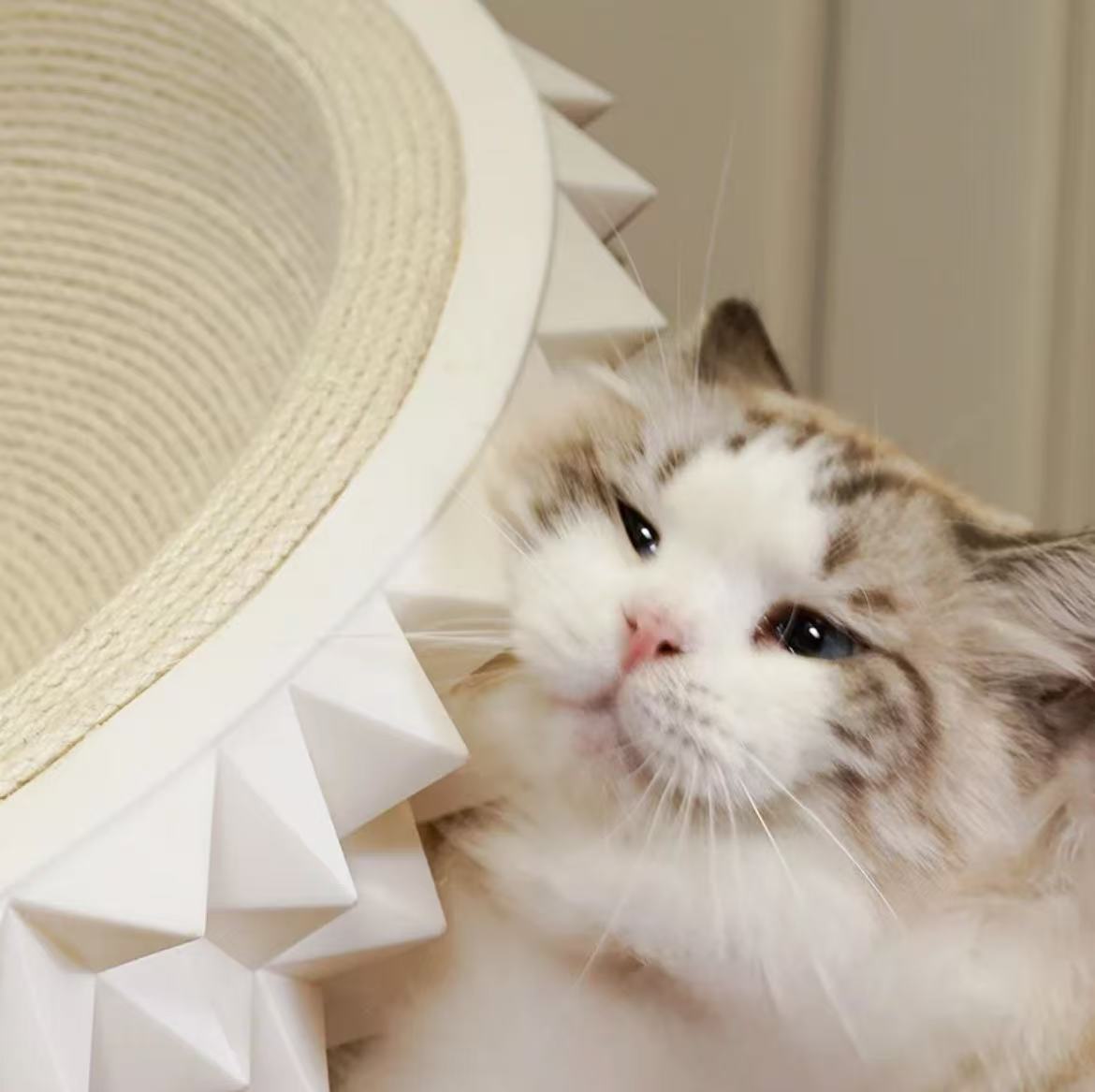 PawsCube - Save your sofa! 3-in-1 multifunctional durian cat sofa made of environmentally friendly sisal